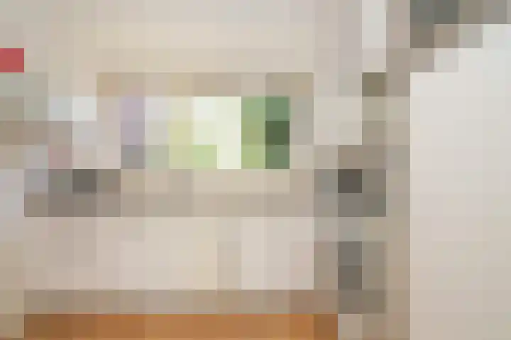 Louis Bouwmeesterlaan 143 Utrecht thumbnail 17