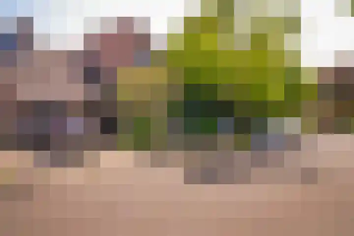 Louis Bouwmeesterlaan 143 Utrecht thumbnail 44