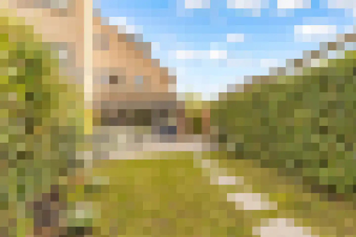 Louis Bouwmeesterlaan 237 Utrecht thumbnail 41