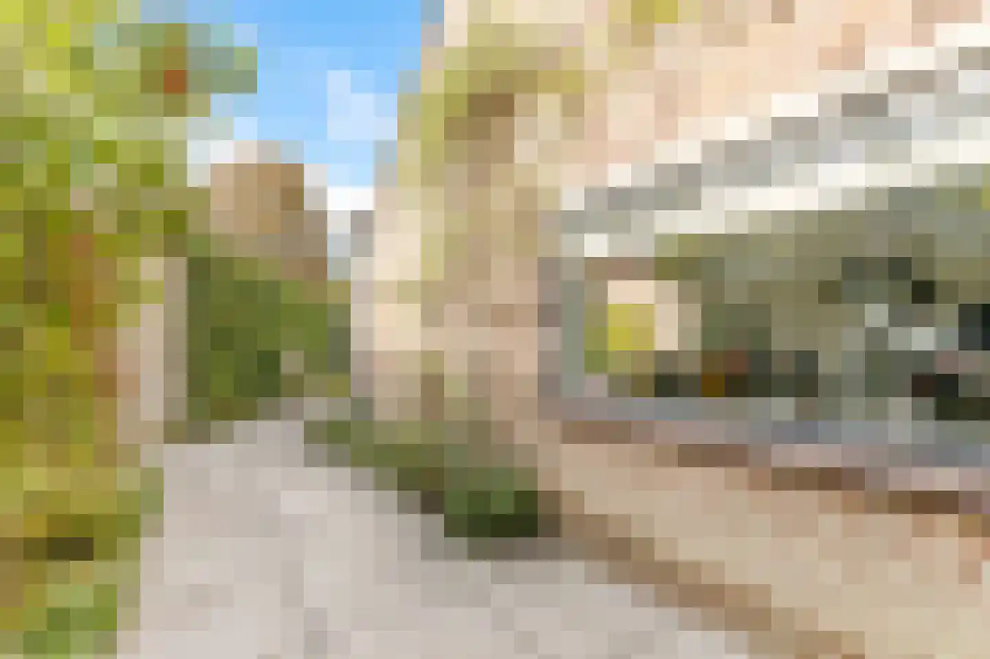Louis Bouwmeesterlaan 237 Utrecht thumbnail 48