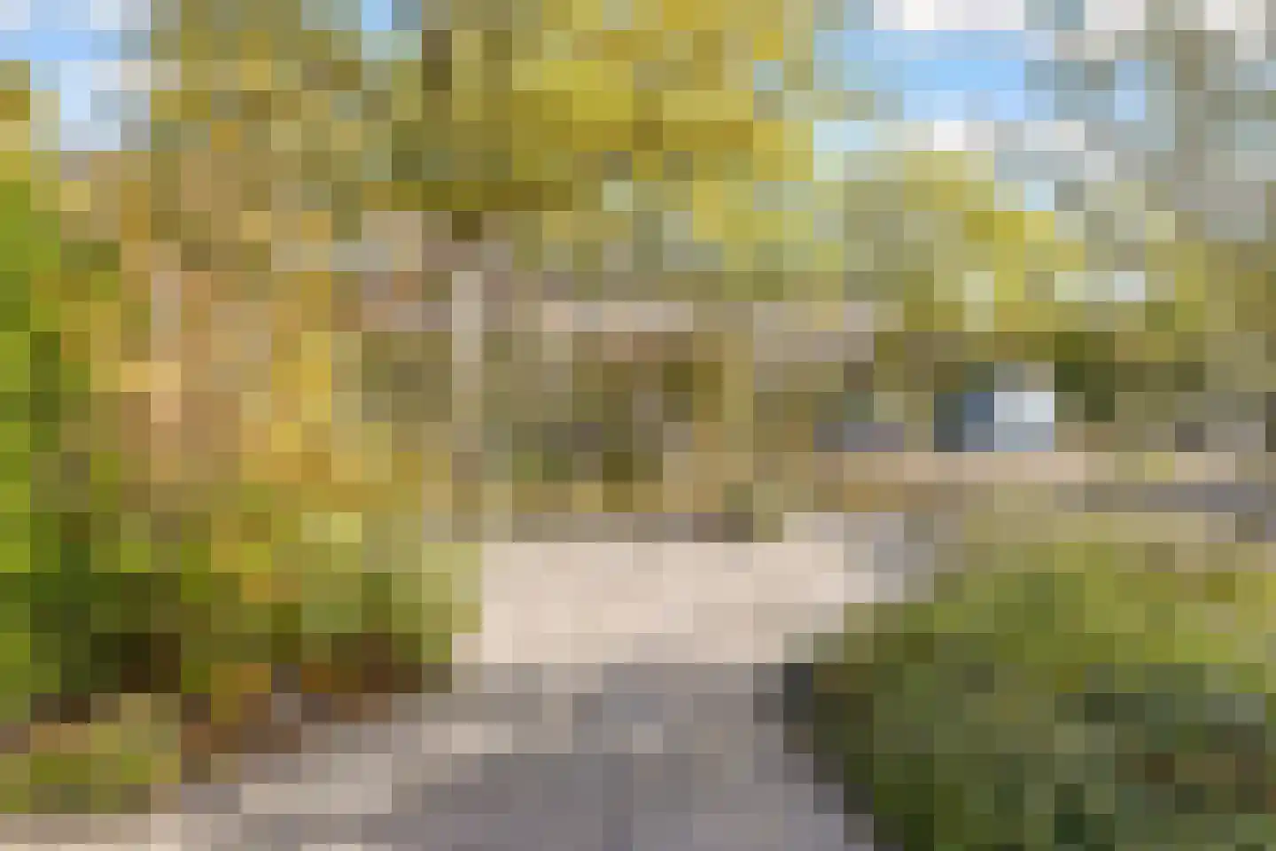 Louis Bouwmeesterlaan 237 Utrecht thumbnail 50