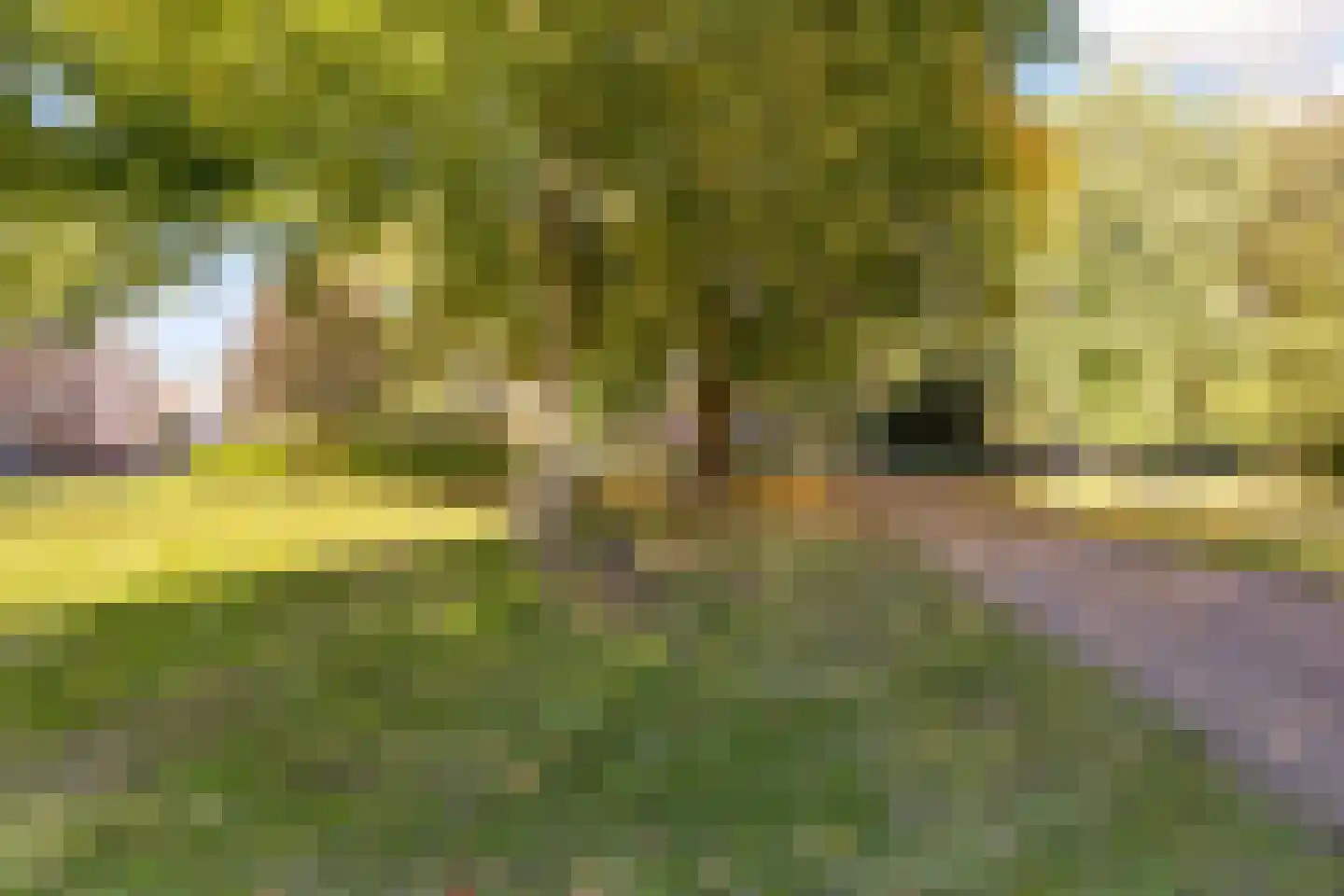 Louis Bouwmeesterlaan 237 Utrecht thumbnail 60