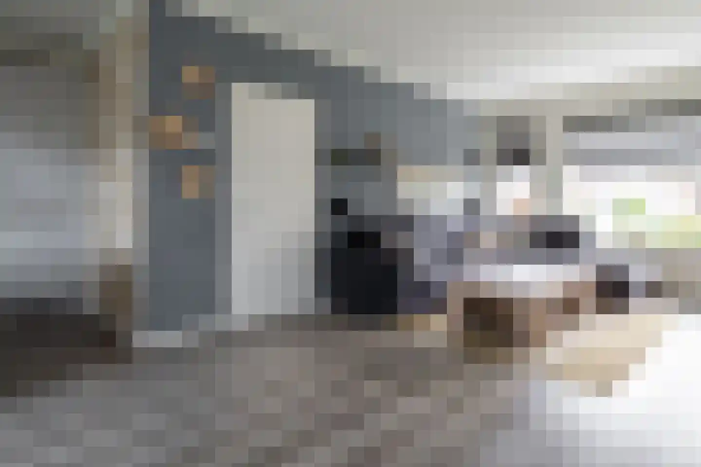 Louis Bouwmeesterstraat 106 Hengelo thumbnail 10