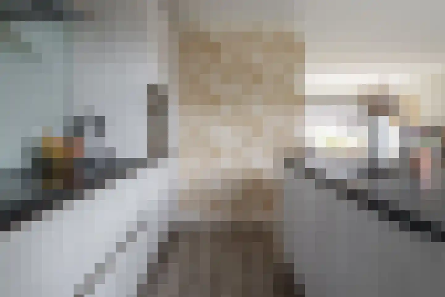 Louis Bouwmeesterstraat 106 Hengelo thumbnail 15