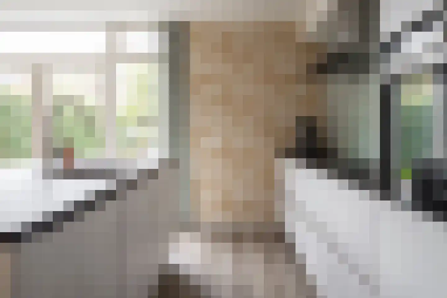 Louis Bouwmeesterstraat 106 Hengelo thumbnail 17