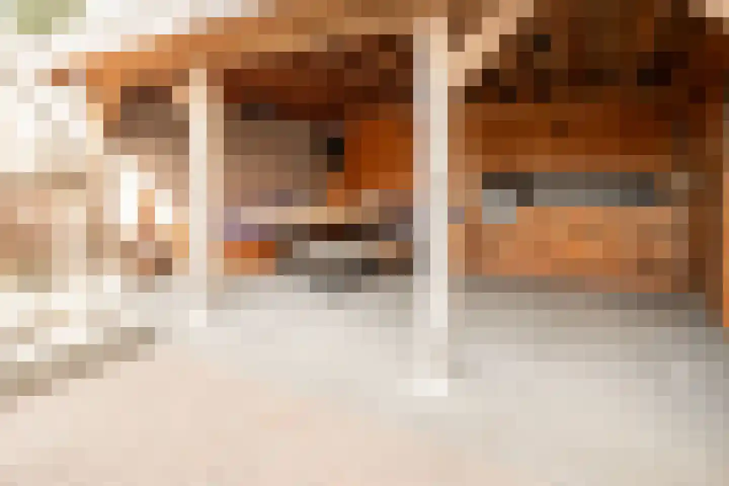 Louis Bouwmeesterstraat 106 Hengelo thumbnail 33