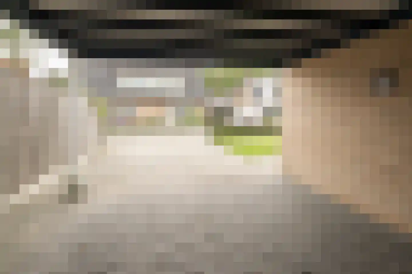 Louis Bouwmeesterstraat 106 Hengelo thumbnail 43