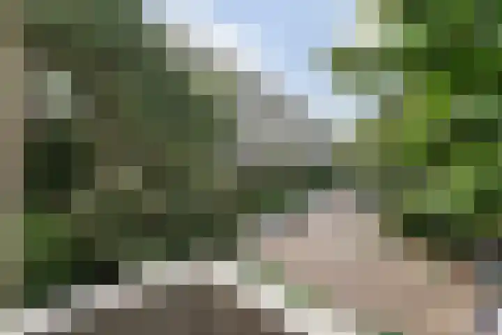 Louis Bouwmeesterstraat 107 Rijswijk thumbnail 25