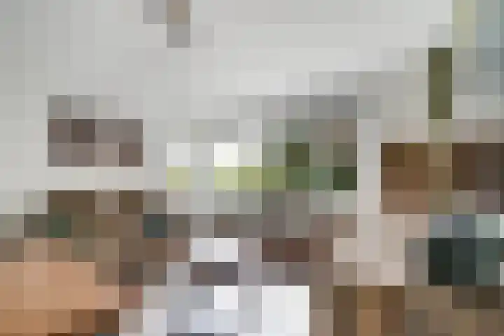Louis Bouwmeesterstraat 107 Rijswijk thumbnail 9