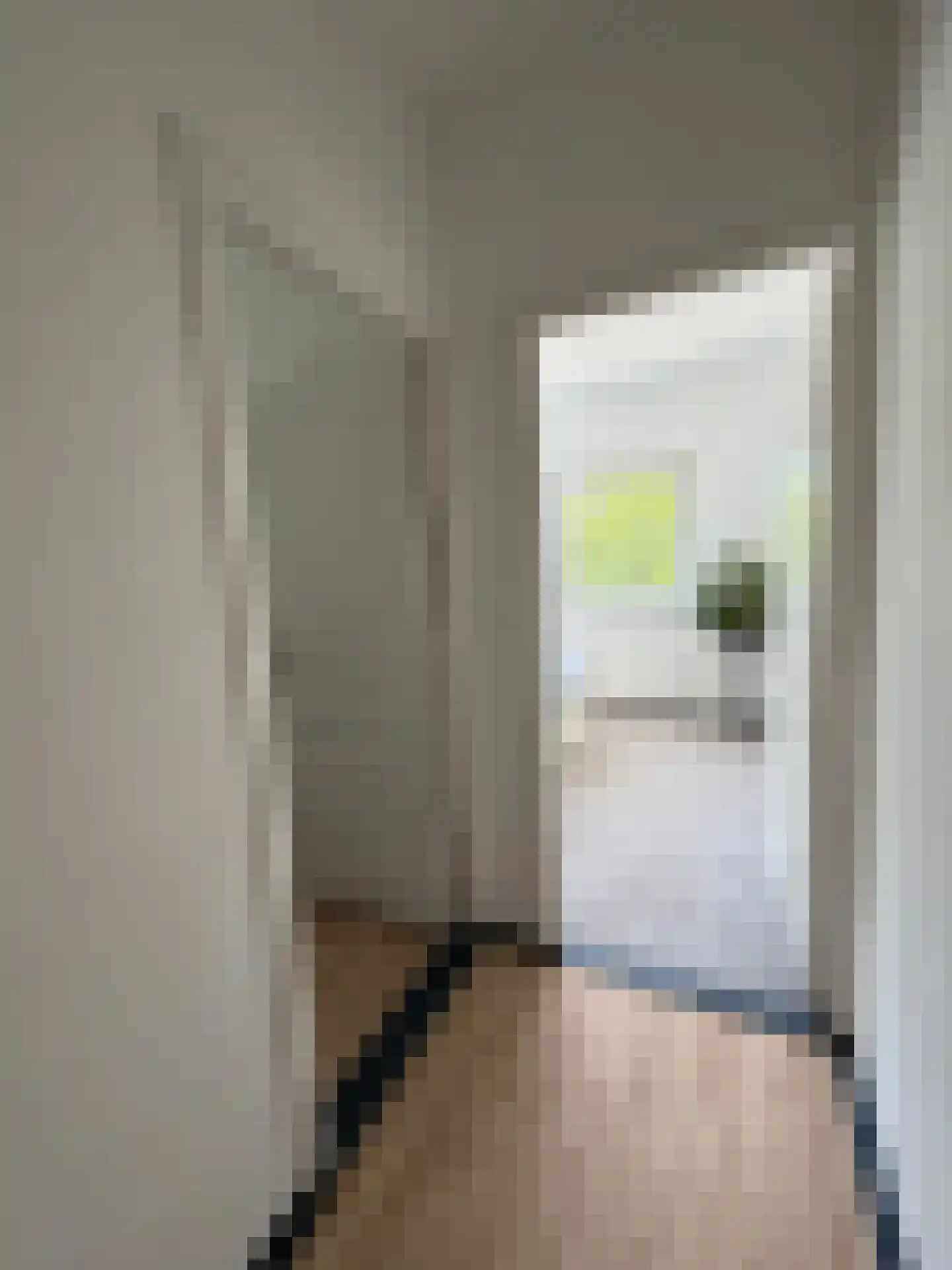 Louis Bouwmeesterstraat 109 Rijswijk thumbnail 18