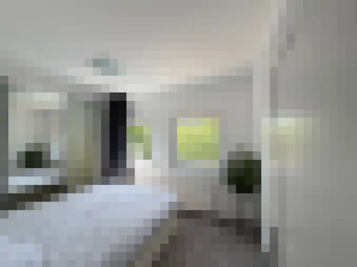 Louis Bouwmeesterstraat 109 Rijswijk thumbnail 19