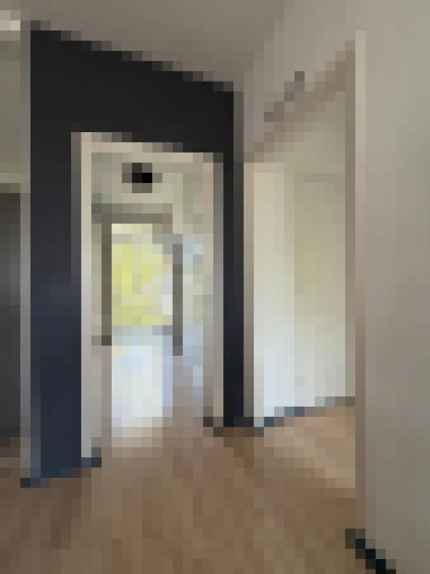 Louis Bouwmeesterstraat 109 Rijswijk thumbnail 32