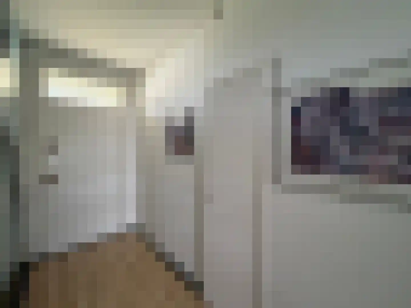 Louis Bouwmeesterstraat 109 Rijswijk thumbnail 36