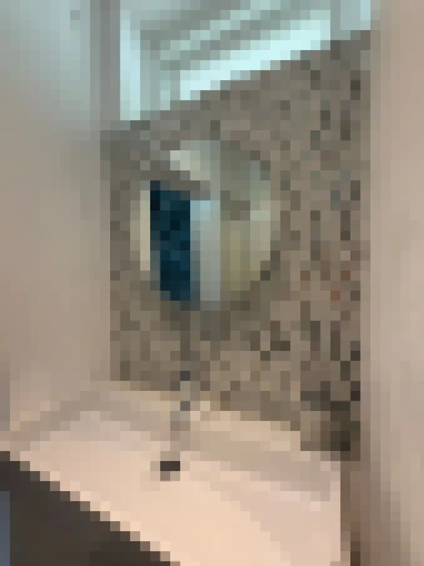 Louis Bouwmeesterstraat 109 Rijswijk thumbnail 39