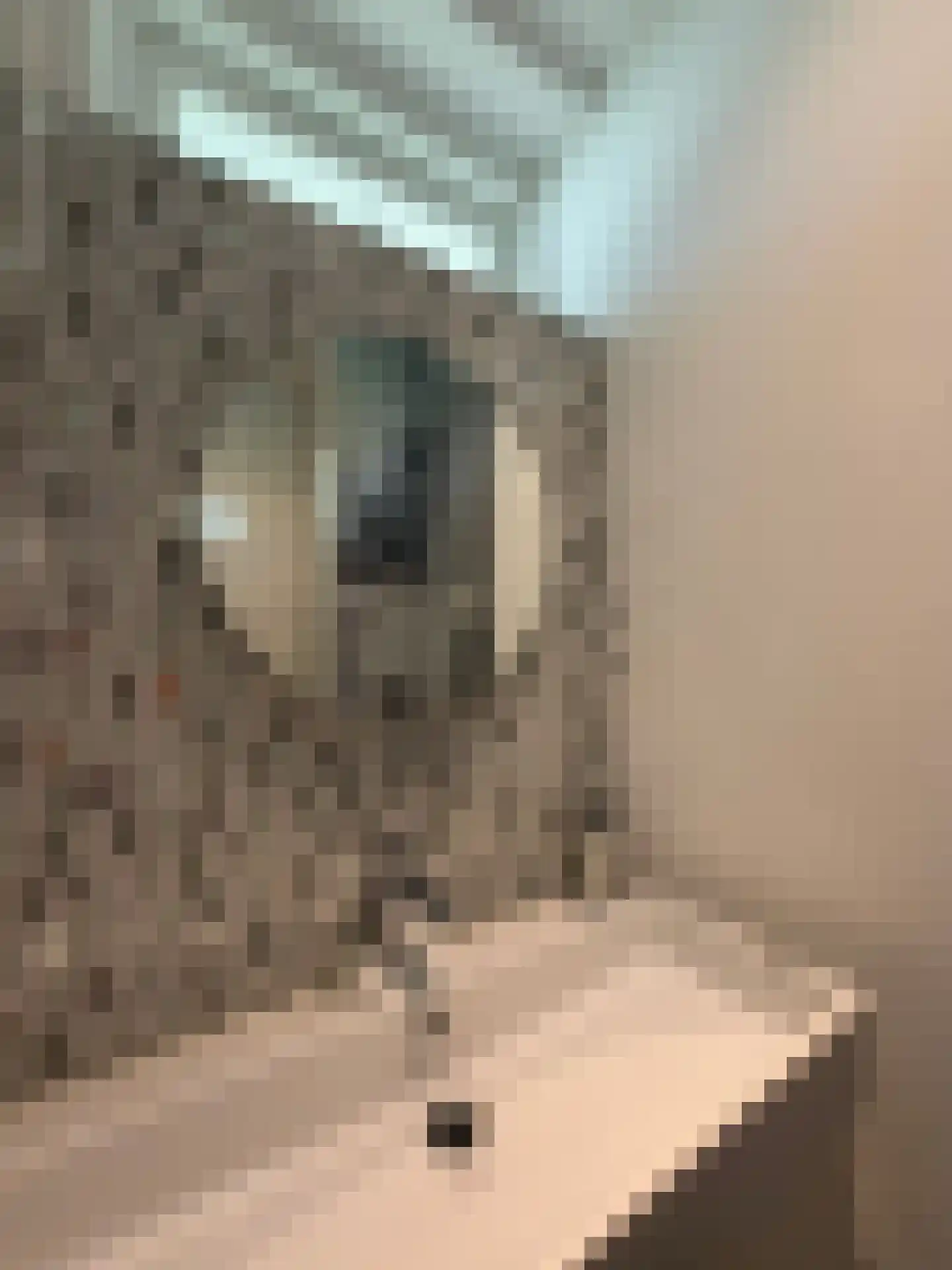 Louis Bouwmeesterstraat 109 Rijswijk thumbnail 46