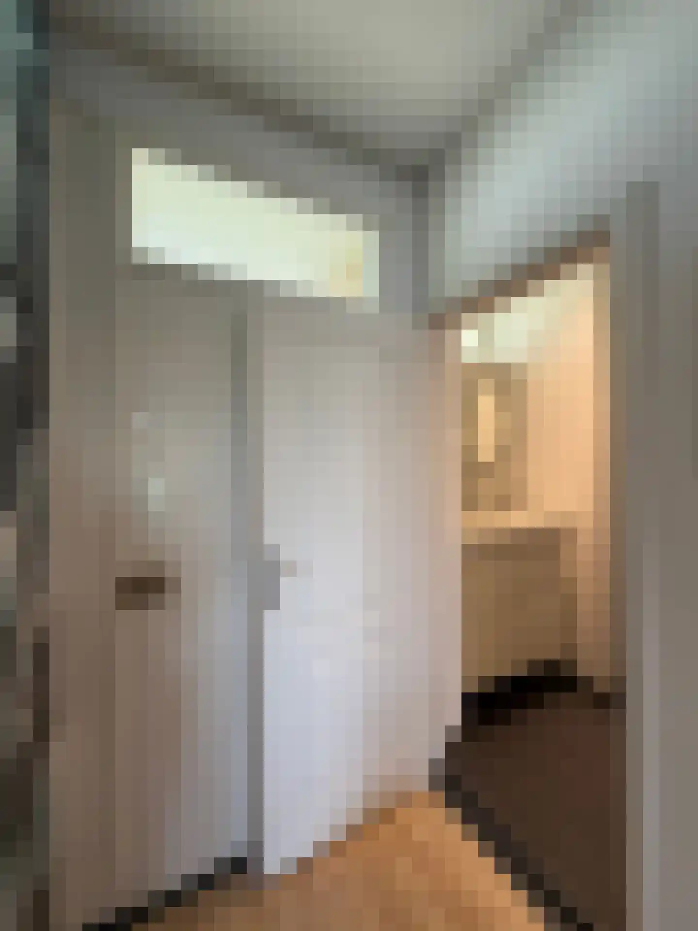 Louis Bouwmeesterstraat 109 Rijswijk thumbnail 47