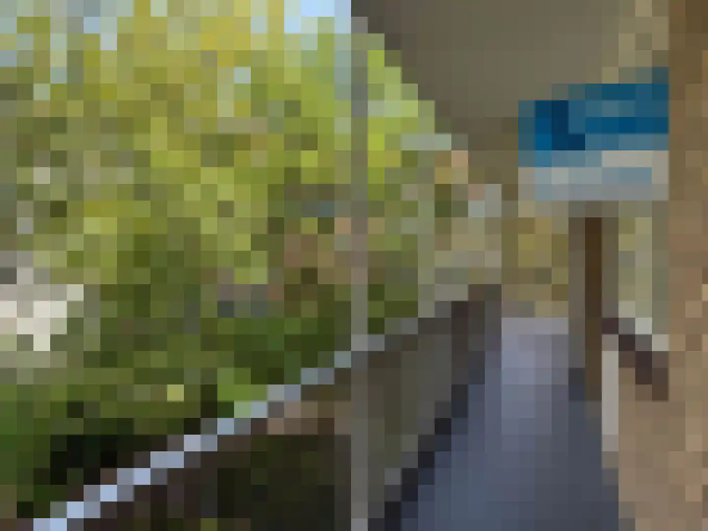 Louis Bouwmeesterstraat 109 Rijswijk thumbnail 5