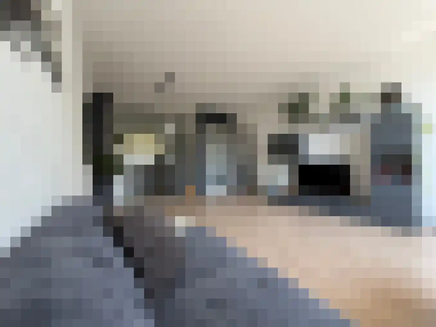 Louis Bouwmeesterstraat 109 Rijswijk thumbnail 54