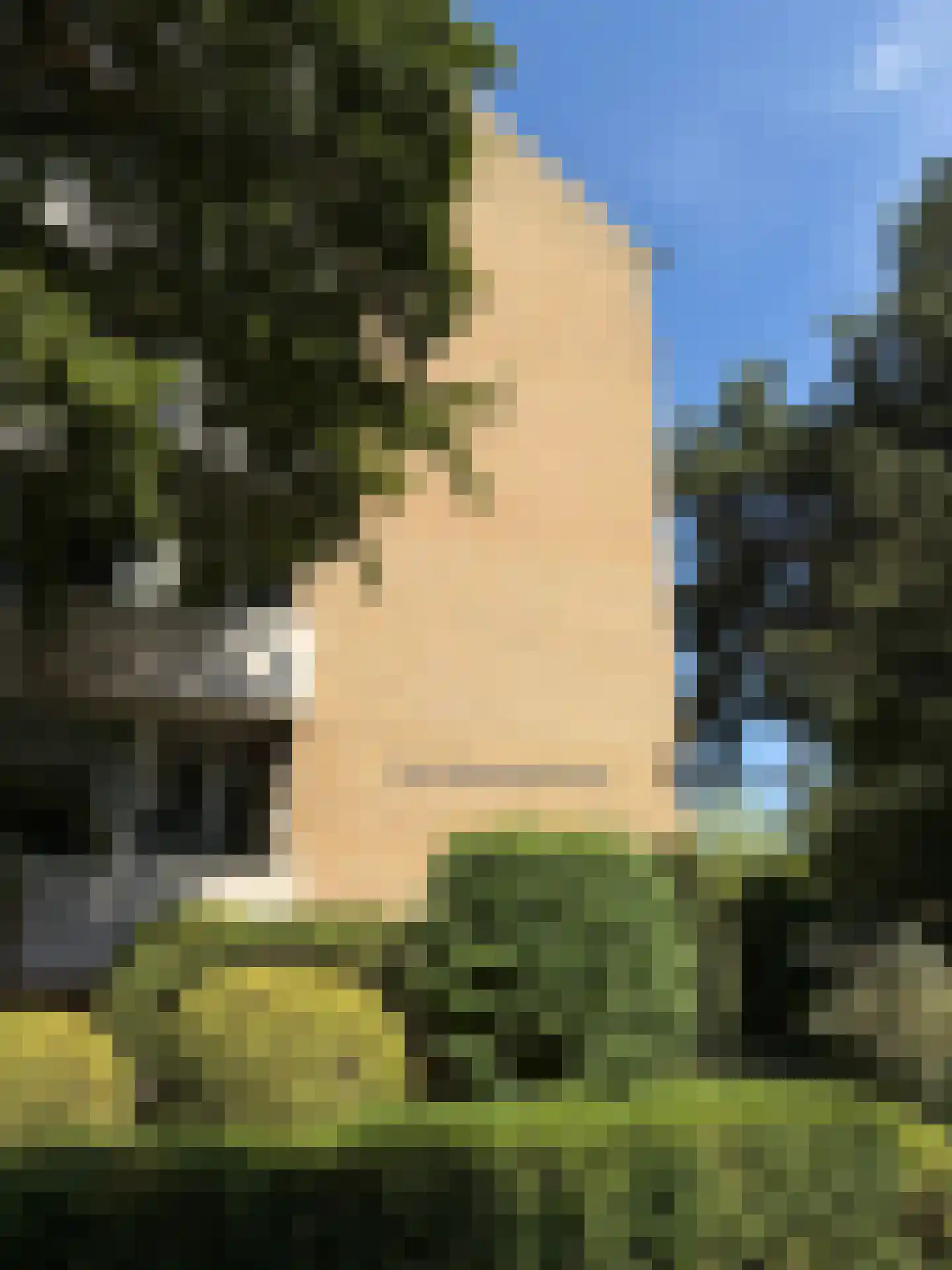 Louis Bouwmeesterstraat 109 Rijswijk thumbnail 63