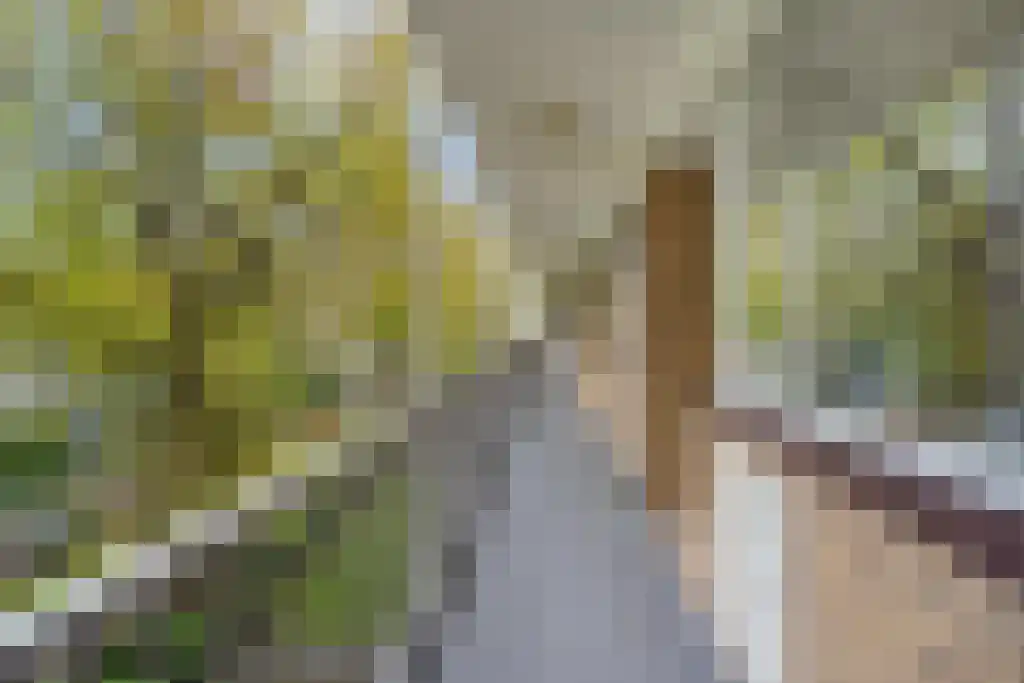 Louis Bouwmeesterstraat 109 Rijswijk thumbnail 9