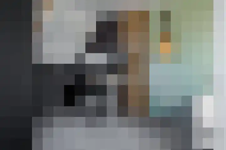Louis Bouwmeesterstraat 22 Hengelo thumbnail 24