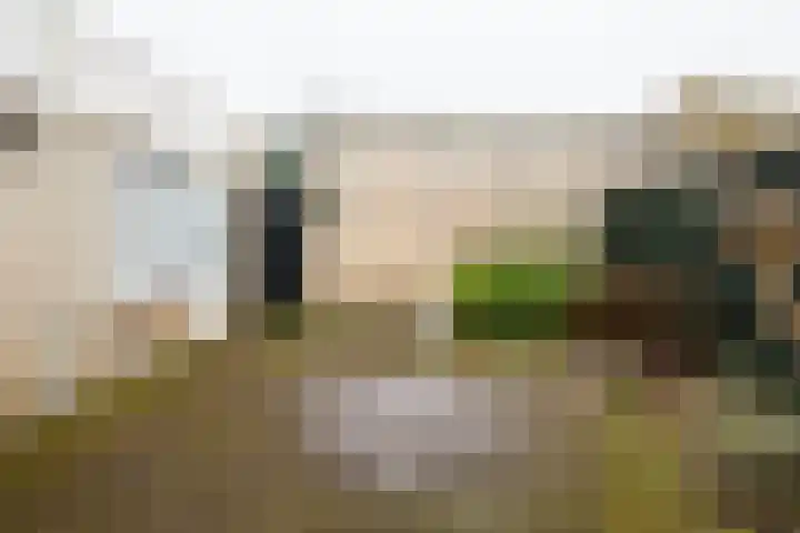 Louis Bouwmeesterstraat 84 Hengelo thumbnail 32