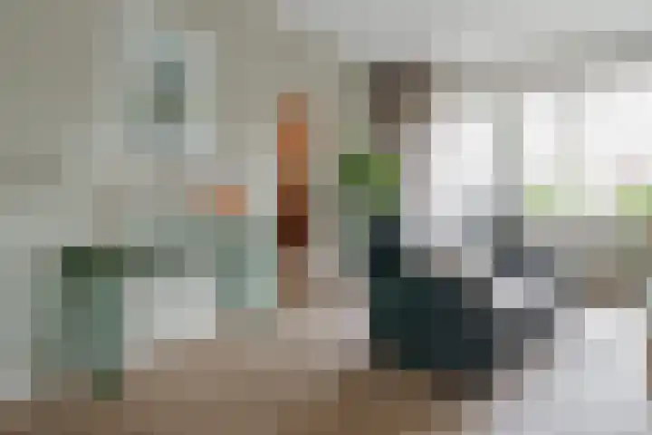 Louis Bouwmeesterstraat 84 Hengelo thumbnail 6