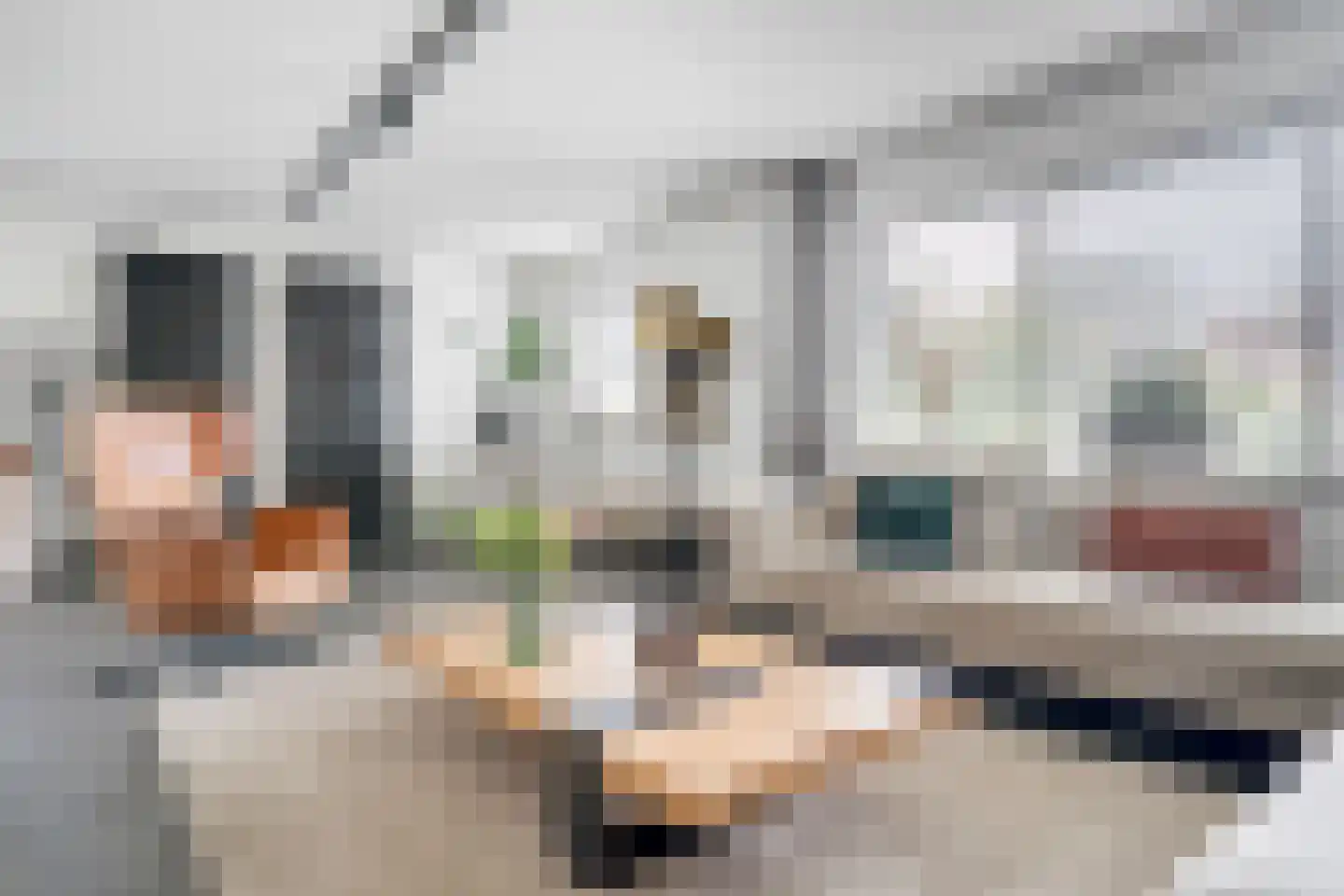 Louis Bouwmeesterstraat 96 Hengelo thumbnail 13