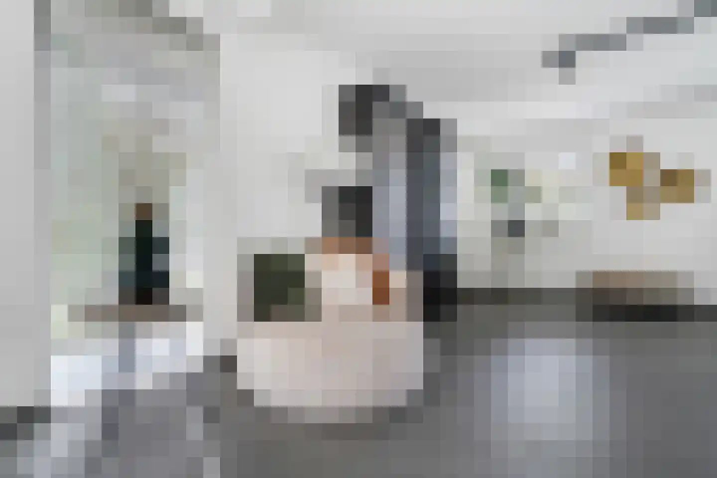 Louis Bouwmeesterstraat 96 Hengelo thumbnail 14
