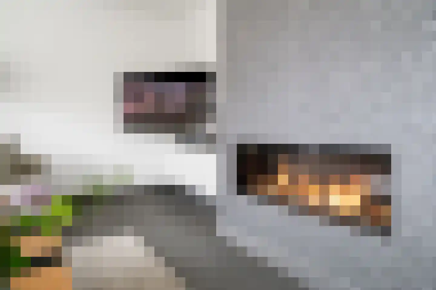 Louis Bouwmeesterstraat 96 Hengelo thumbnail 15