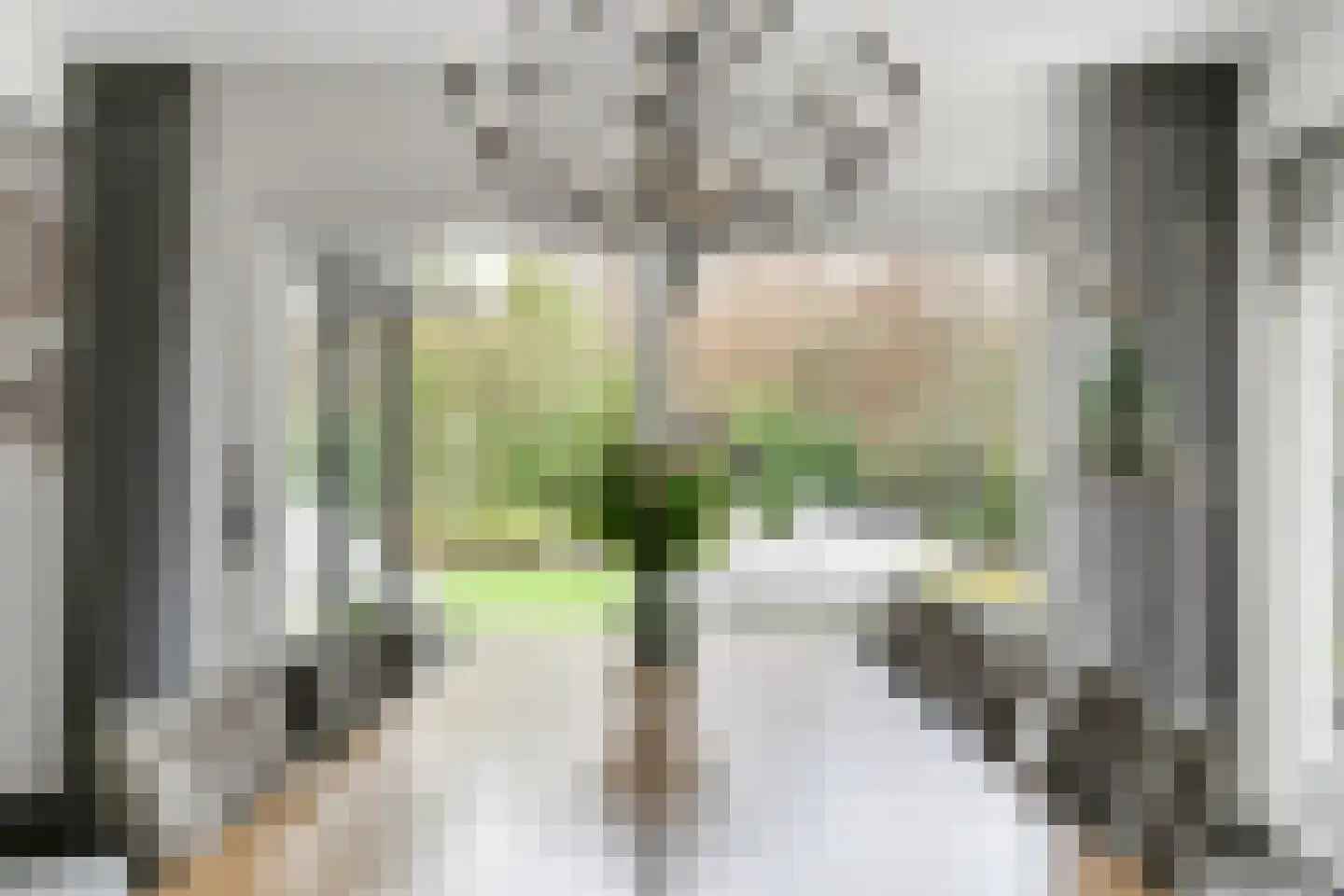 Louis Bouwmeesterstraat 96 Hengelo thumbnail 17