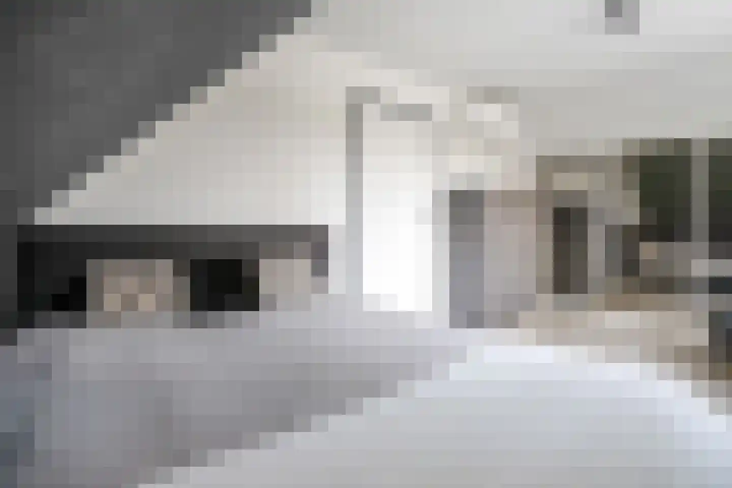 Louis Bouwmeesterstraat 96 Hengelo thumbnail 33
