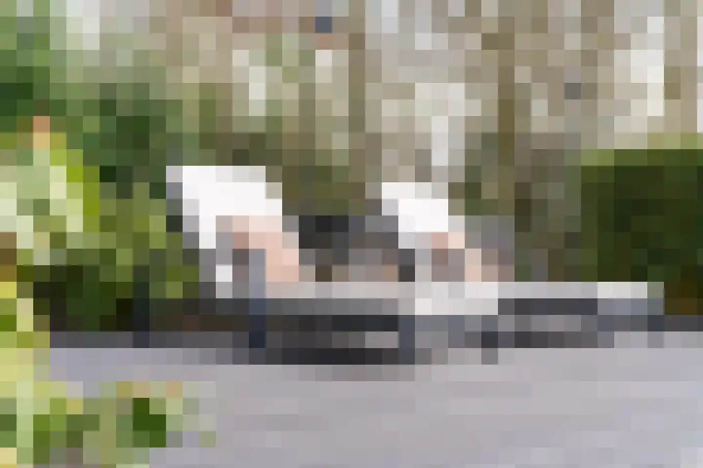 Louis Bouwmeesterstraat 96 Hengelo thumbnail 54