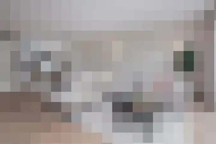 Louis Couperushof 9 Grootebroek thumbnail 10