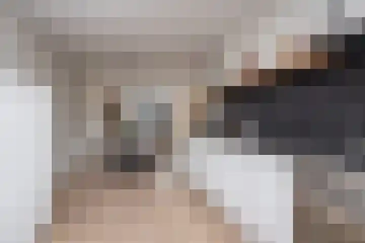 Louis Couperushof 9 Grootebroek thumbnail 13