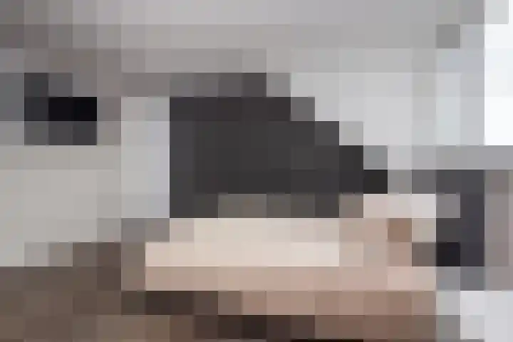Louis Couperushof 9 Grootebroek thumbnail 25