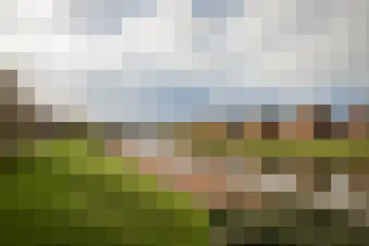 Louis Couperushof 9 Grootebroek thumbnail 38