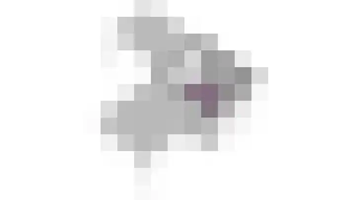Louis Couperushof 9 Grootebroek thumbnail 55