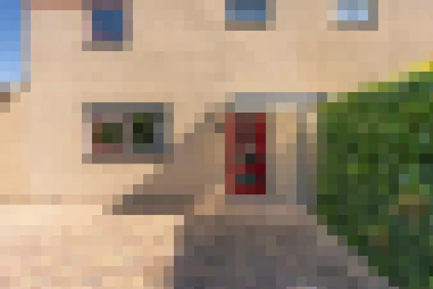 Louis Couperushove 12 Nieuwegein thumbnail 60