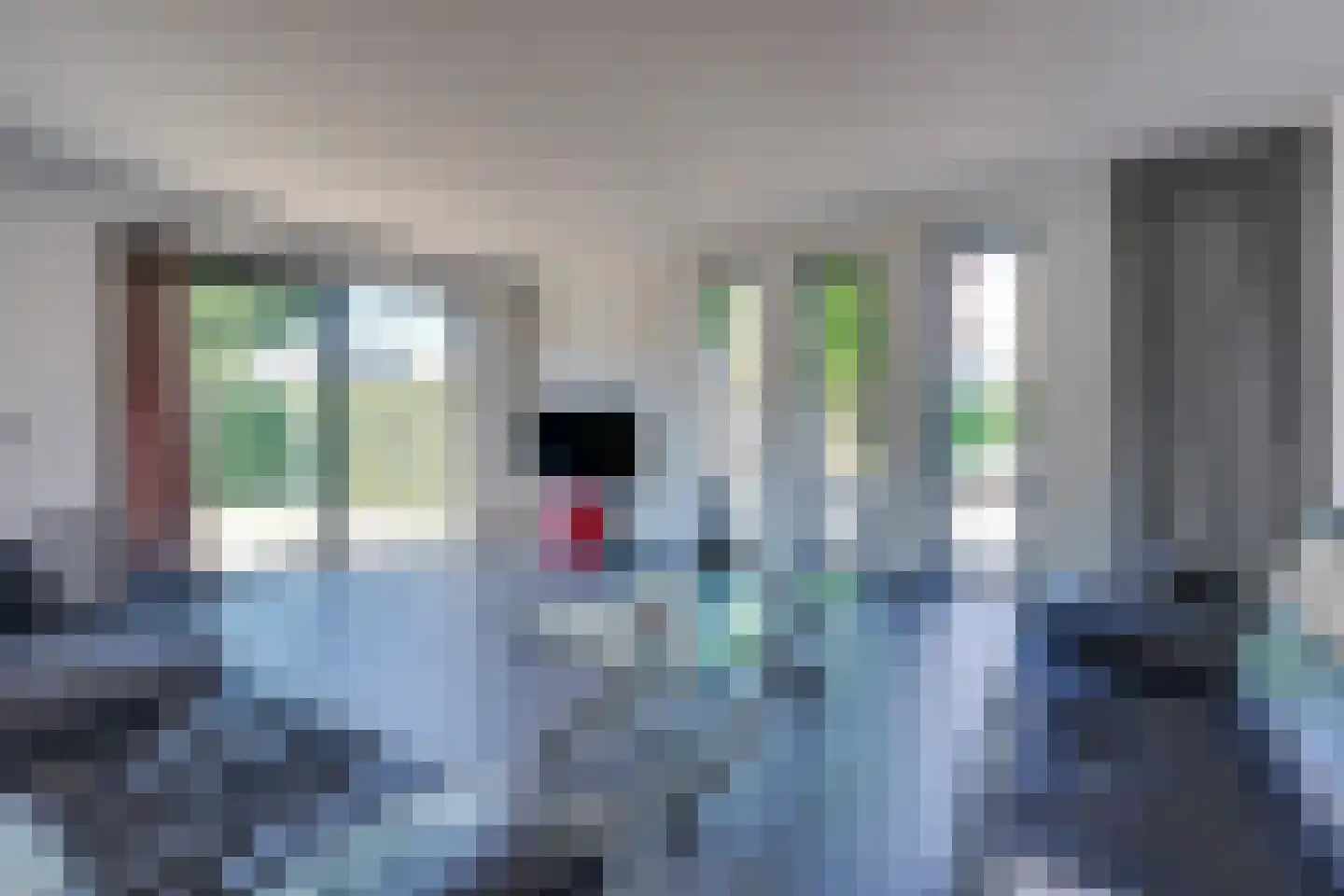 Louis Couperushove 12 Nieuwegein thumbnail 8