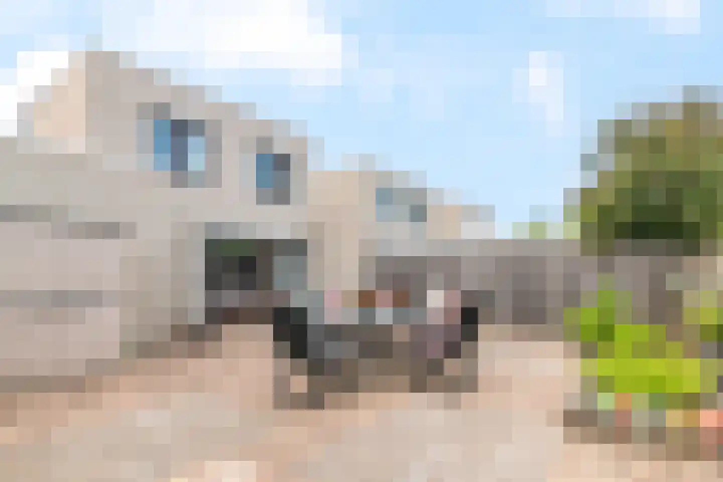 Louis Couperushove 28 Nieuwegein thumbnail 26