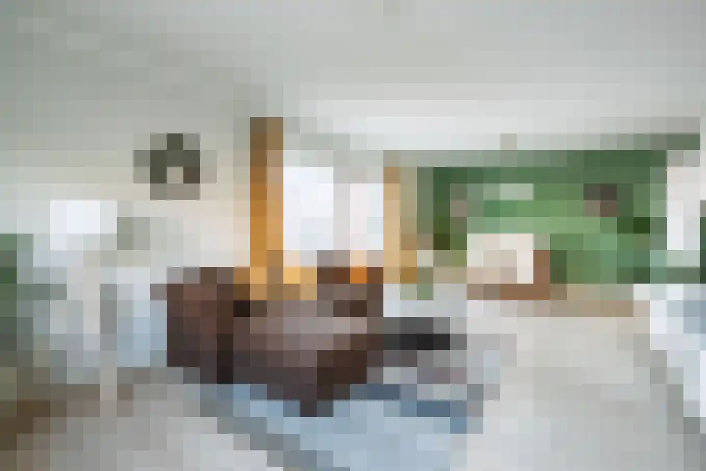 Louis Couperushove 29 Nieuwegein thumbnail 6