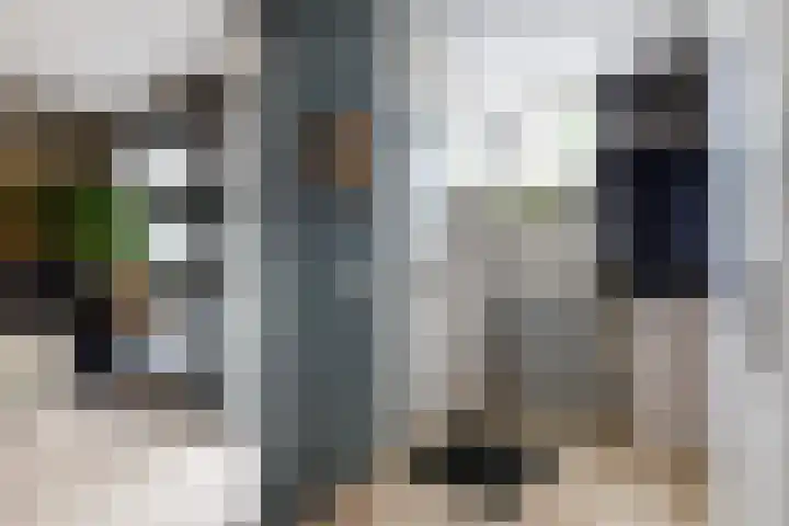 Louis Couperushove 37 Nieuwegein thumbnail 13