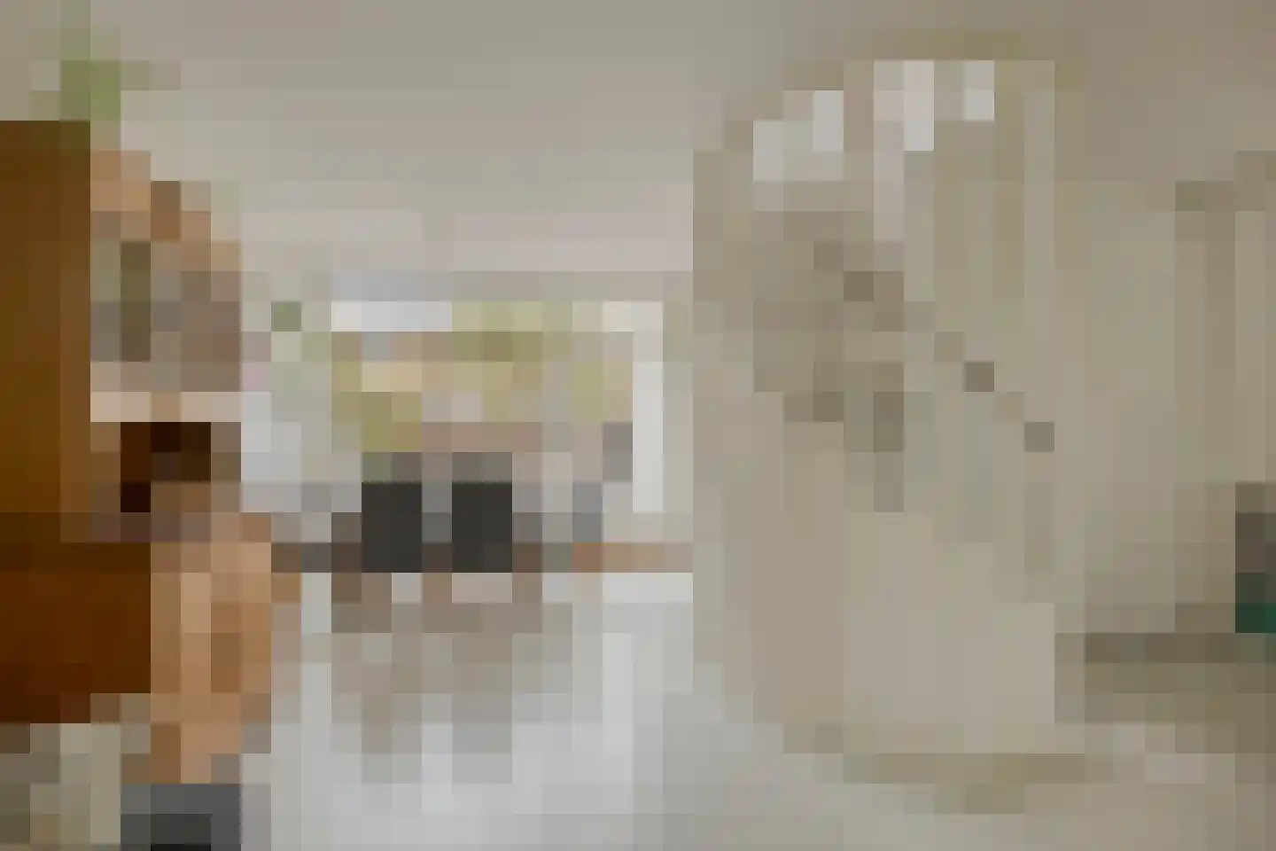 Louis Couperuslaan 14 Delft thumbnail 14