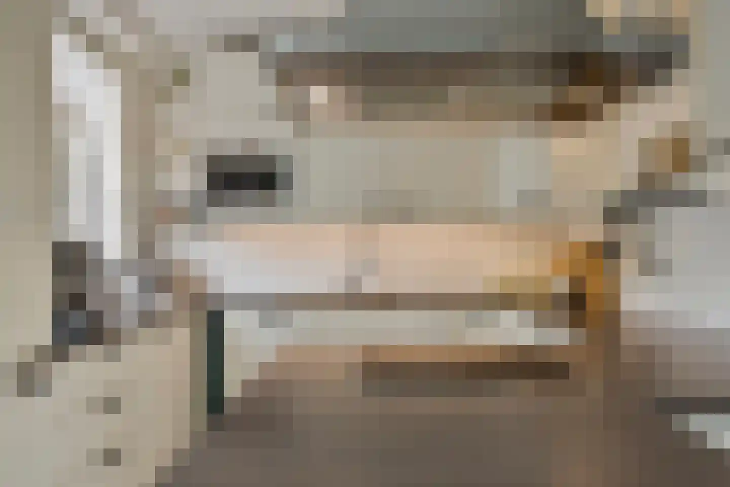 Louis Couperuslaan 14 Delft thumbnail 16