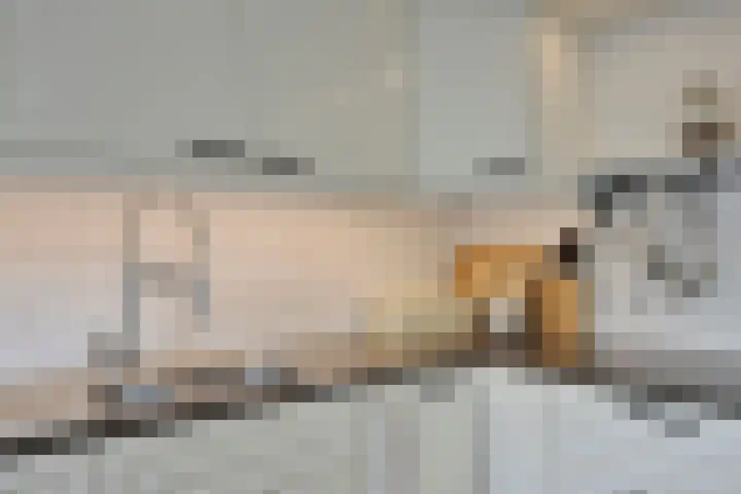 Louis Couperuslaan 14 Delft thumbnail 17