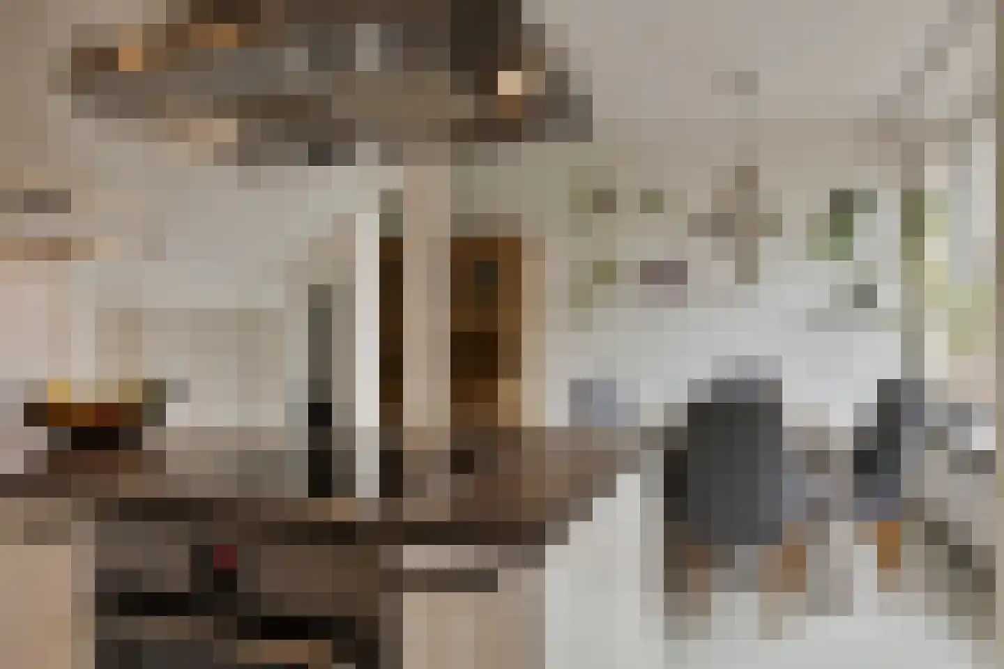 Louis Couperuslaan 14 Delft thumbnail 18