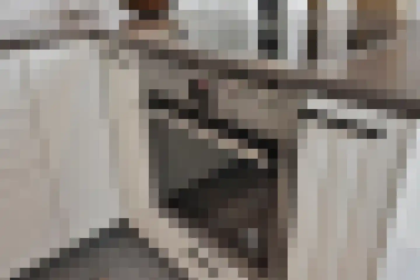 Louis Couperuslaan 14 Delft thumbnail 19