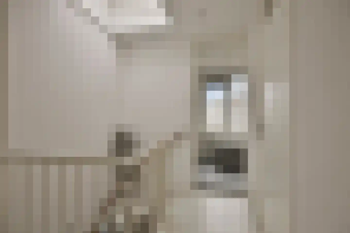 Louis Couperuslaan 14 Delft thumbnail 22