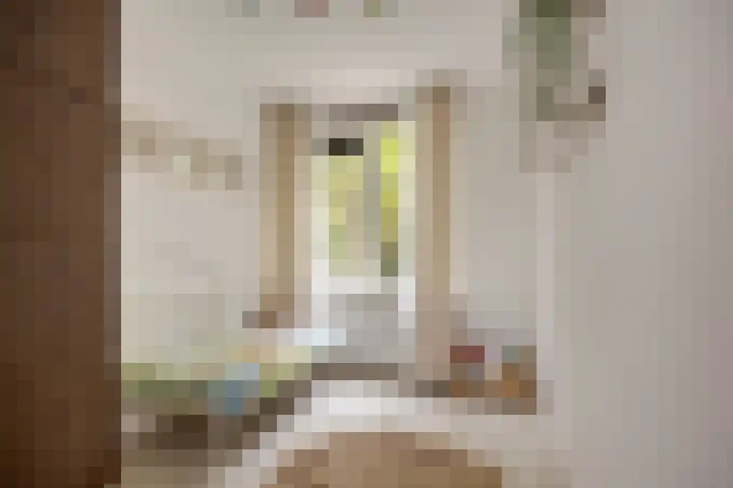 Louis Couperuslaan 14 Delft thumbnail 32